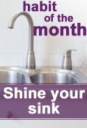 Shining Your Sink
